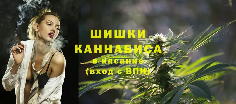 Бошки Шишки SATIVA & INDICA  где купить наркотик  mega маркетплейс  Петровск 